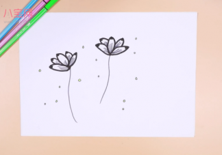 蓮花簡筆畫視頻    蓮花簡筆畫步驟圖