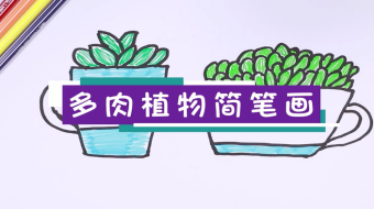 多肉植物簡筆畫視頻   多肉植物簡筆畫步驟