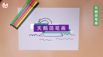 大天鵝簡筆畫視頻   大天鵝簡筆畫步驟教程