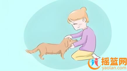 懷孕期間，養寵物安全嗎？