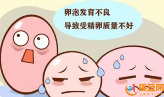 孕婦卵泡不好，怎么讓卵泡又大，易懷上寶寶?