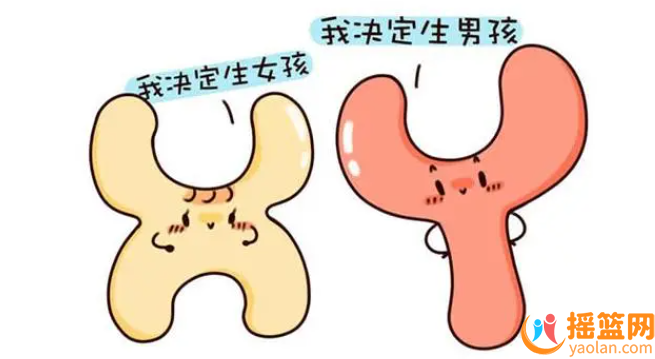 備孕提高生男生女排卵攻略