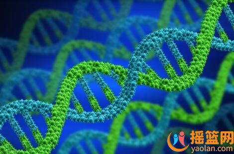 父母的基因密碼：哪些特質將被寶寶繼承？