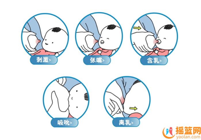 懷孕期間，是否還能繼續哺乳呢？