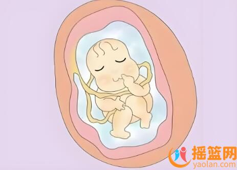 孕期警示：深入了解胎兒畸形的元兇！