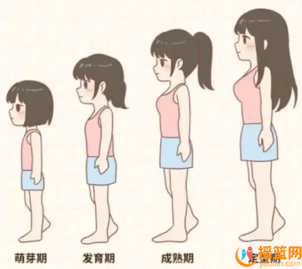 女寶乳房發育分幾個階段？你家寶貝在哪個階段?