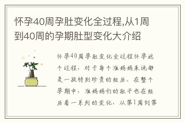懷孕40周孕肚變化全過程,從1周到40周的孕期肚型變化大介紹