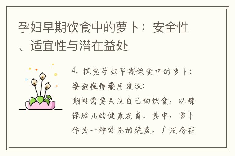 孕婦早期飲食中的蘿卜：安全性、適宜性與潛在益處
