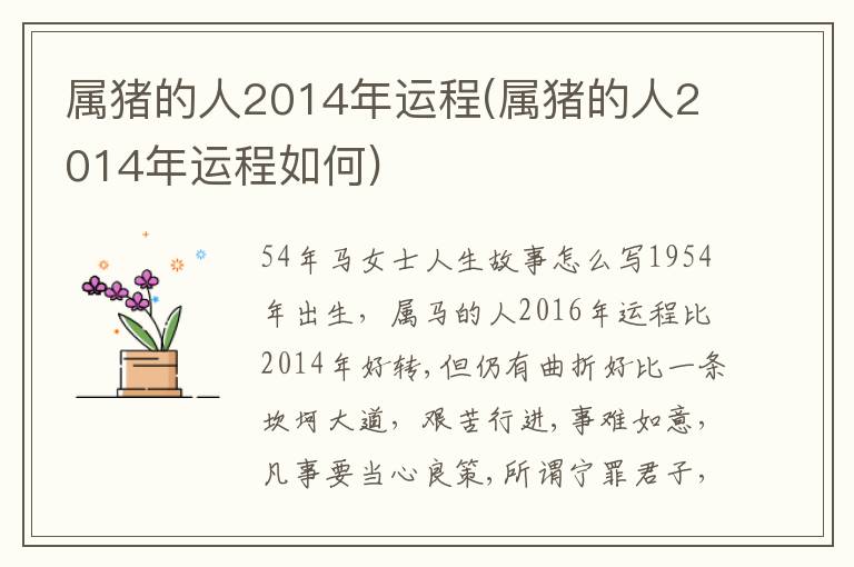 屬豬的人2014年運程(屬豬的人2014年運程如何)