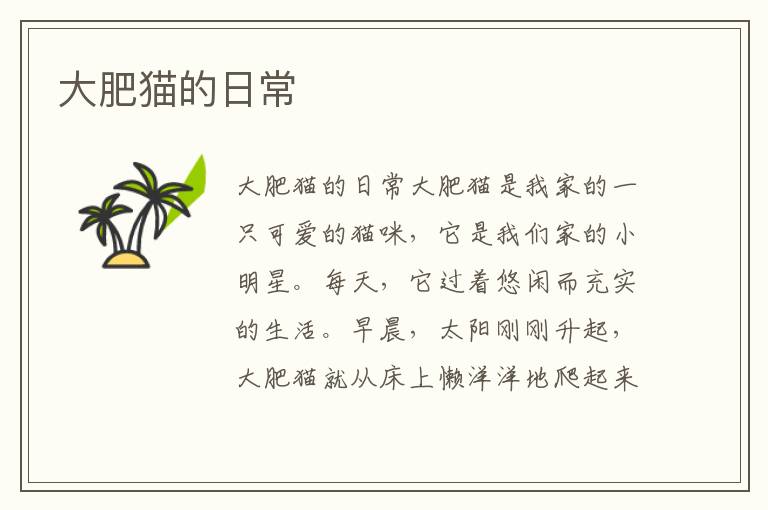 大肥貓的日常