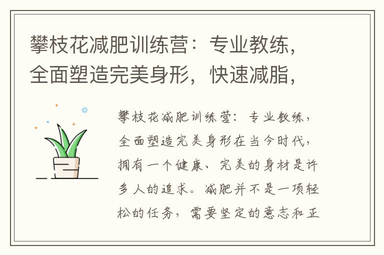 攀枝花減肥訓練營：專業教練，全面塑造完美身形，快速減脂，挑戰體重極限