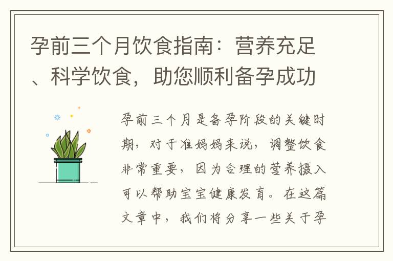 孕前三個月飲食指南：營養充足、科學飲食，助您順利備孕成功！