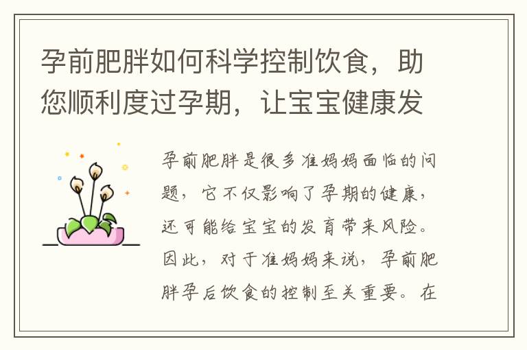 孕前肥胖如何科學(xué)控制飲食，助您順利度過孕期，讓寶寶健康發(fā)育