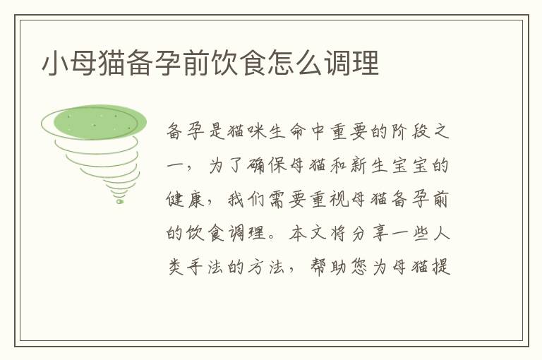 小母貓備孕前飲食怎么調(diào)理