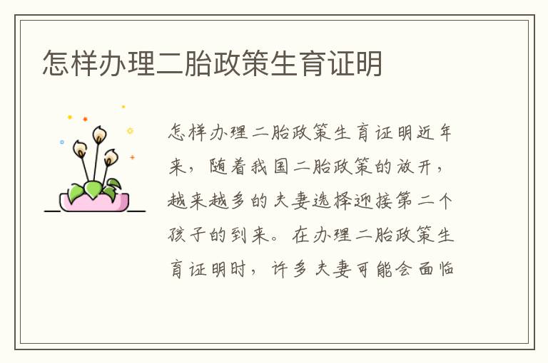 怎樣辦理二胎政策生育證明