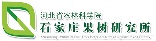 真空出料泵，衛生級離心泵，蒸發器循環泵，負壓泵